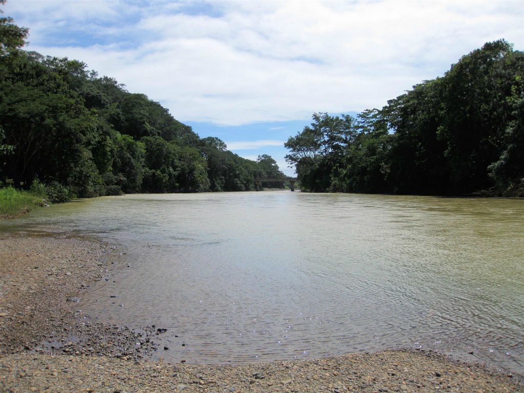 PLAYA DOMINICAL - een rivier