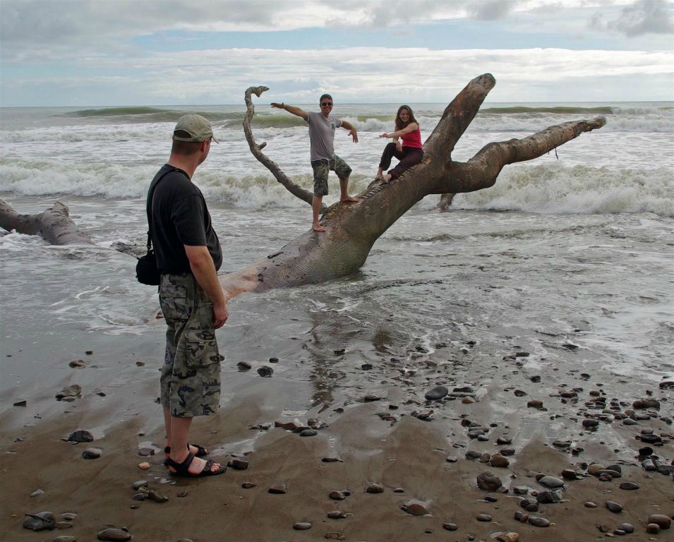 PLAYA DOMINICAL - Carmen en Arco in een aangespoelde boom en Carlos die toekijkt