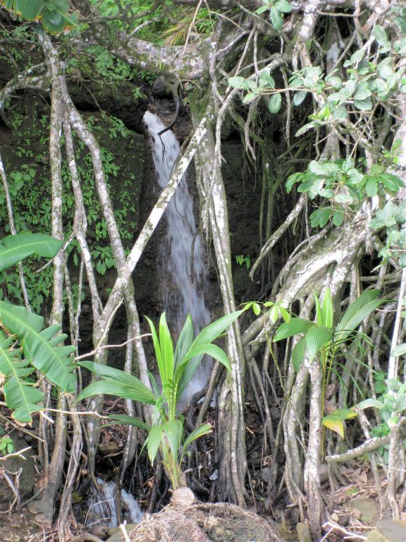 CORCOVADO NATIONAL PARK - een waterval