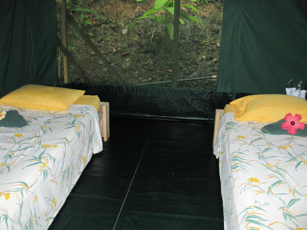 CORCOVADO NATIONAL PARK - binnen in onze tent