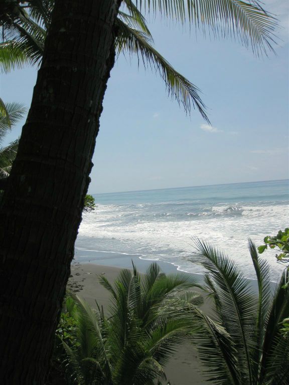 CORCOVADO NATIONAL PARK - het uitzicht op zee vanaf de lodge