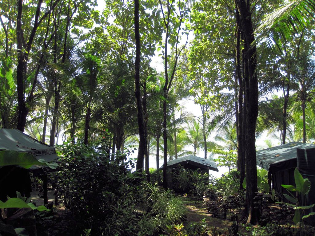 CORCOVADO NATIONAL PARK - enkele tenten op de lodge