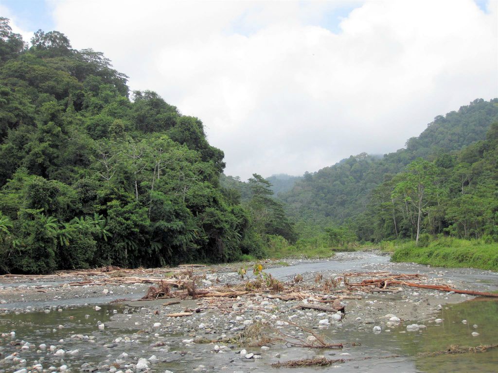 CORCOVADO NATIONAL PARK -> PUERTO JIMÉNEZ - het landschap