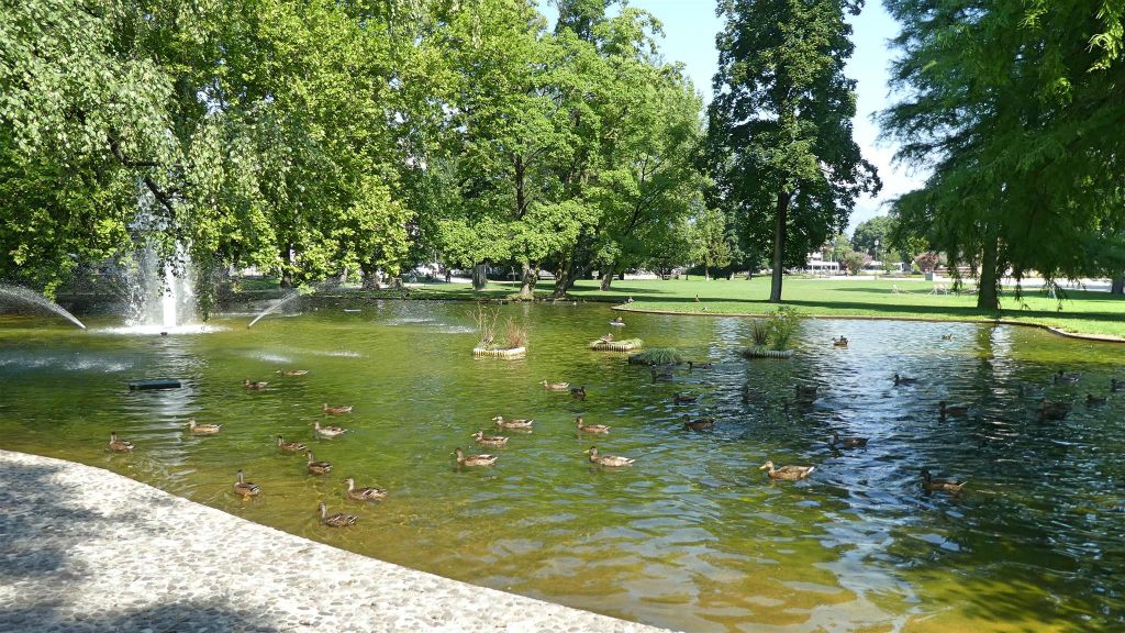 TRENTO - een vijver in het openbare park