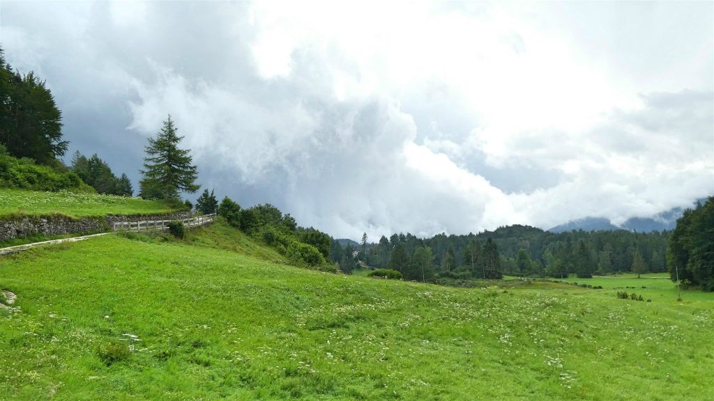 ALBERTINI - het uitzicht