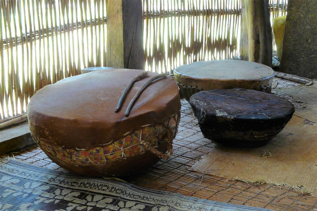 BAHIR DAR - troms bij de Ura Kidane Mihret kerk op het Zeghe Peninsula eiland