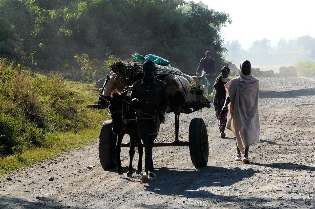 BAHIR DAR -> GONDAR - lokale bevolking onderweg