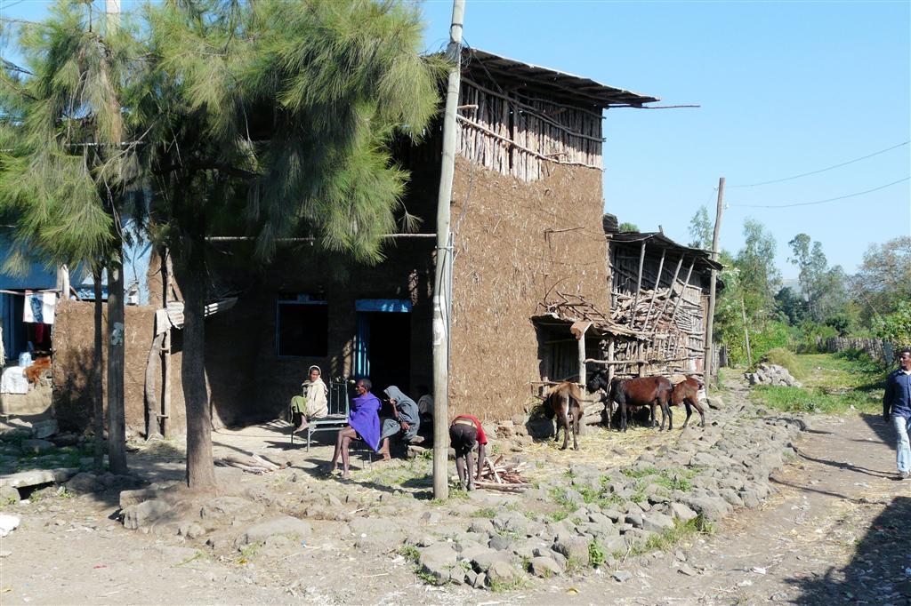 BAHIR DAR -> GONDAR - een typisch Ethiopisch huis van koeienmest