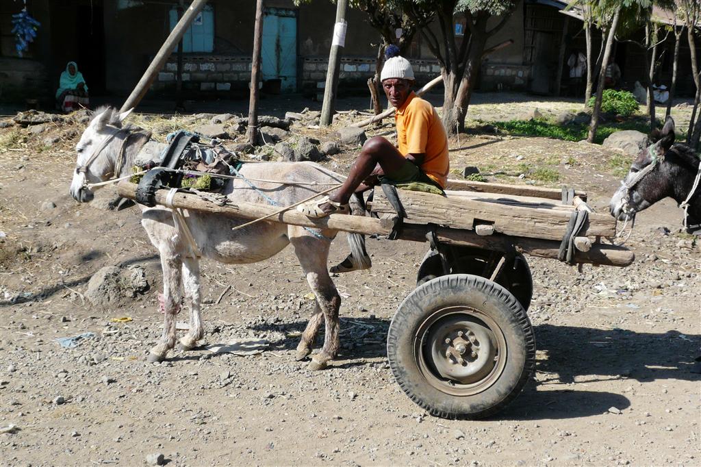 BAHIR DAR -> GONDAR - een man met zijn ezel en wagen