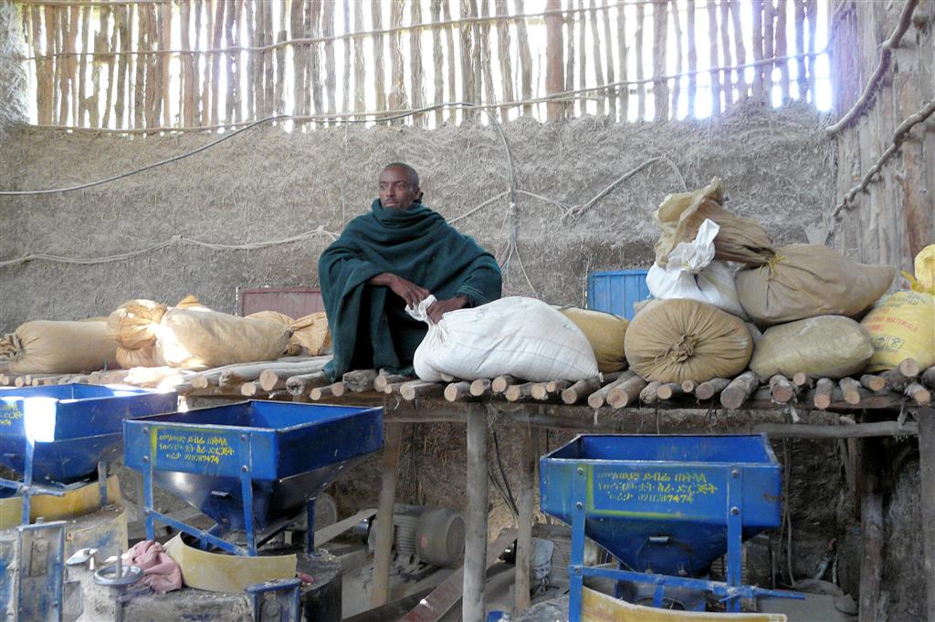 BAHIR DAR -> GONDAR - een man in de gemeenschappelijke verwerkingsruimte voor meel van een dorp
