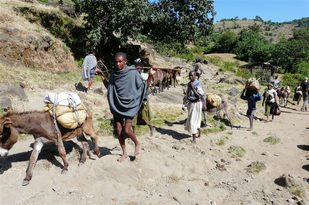 BAHIR DAR -> GONDAR - Ethiopiërs komen met hun spullen van de markt