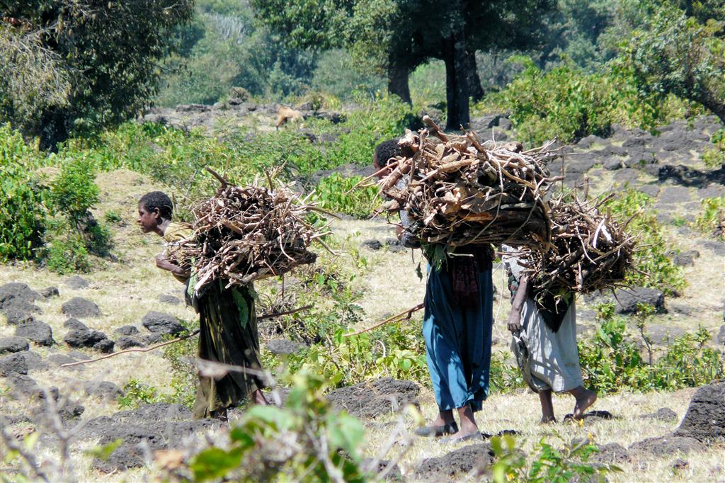 BAHIR DAR -> GONDAR - enkele vrouwen die hout op hun rug dragen