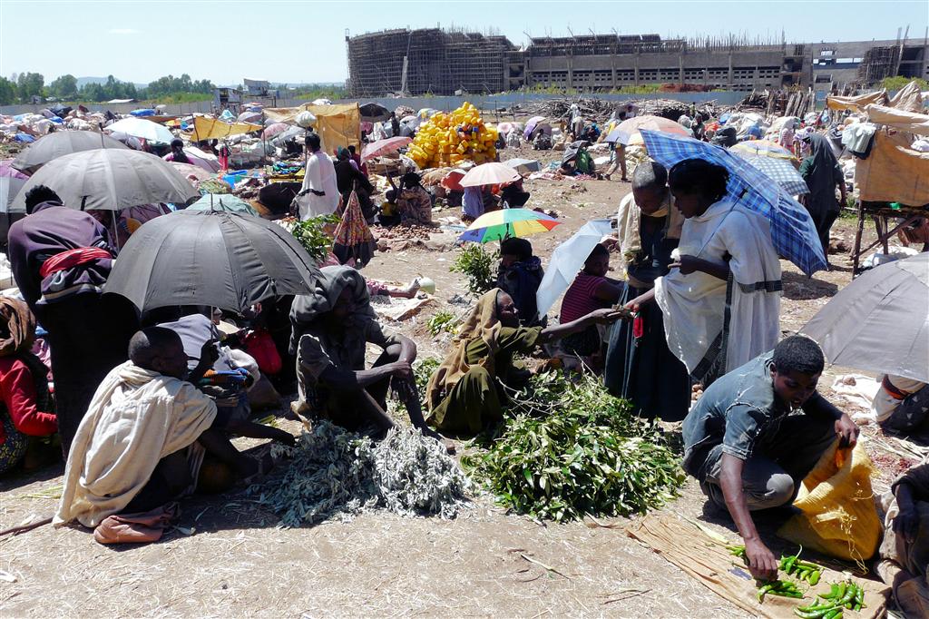 BAHIR DAR -> GONDAR - qat (een licht stimulerende drug) op een lokale markt