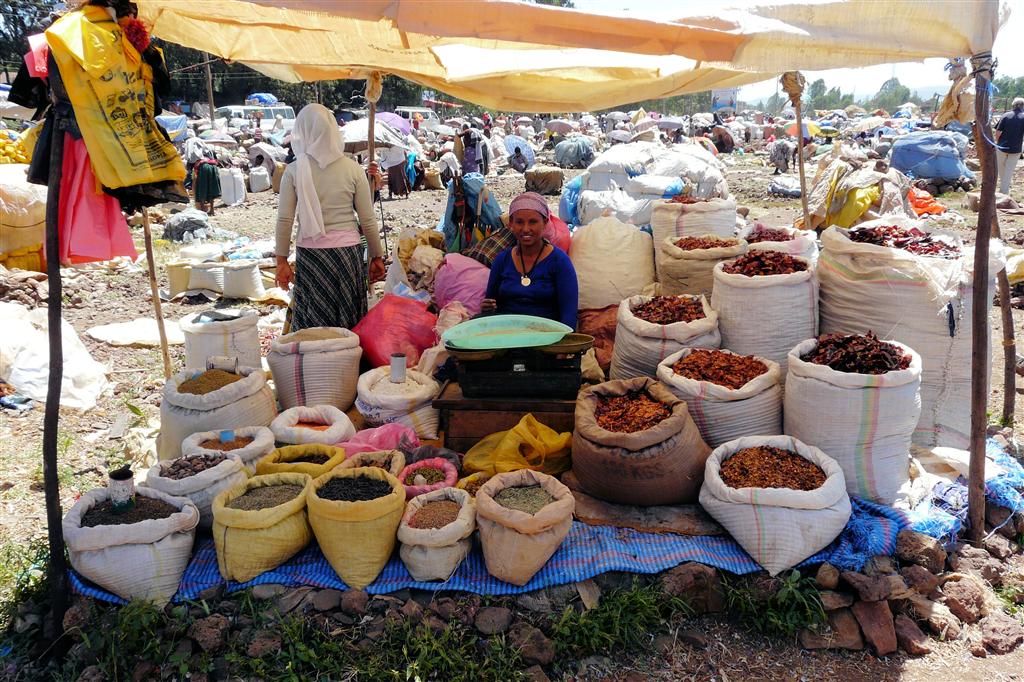 BAHIR DAR -> GONDAR - specerijen op een lokale markt