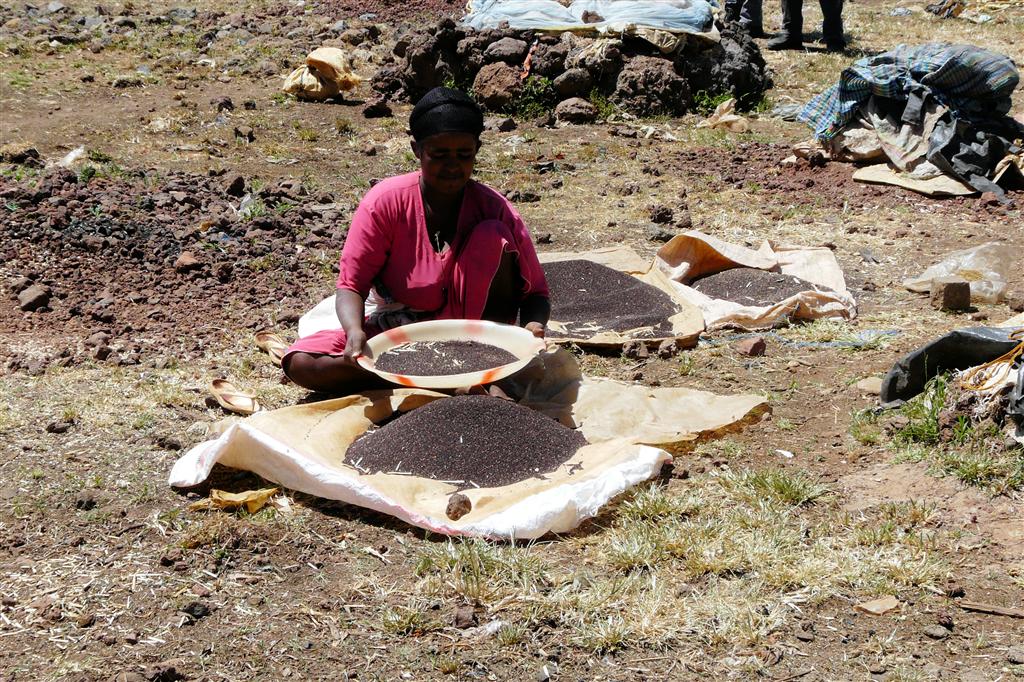 BAHIR DAR -> GONDAR - kruiden op een lokale markt
