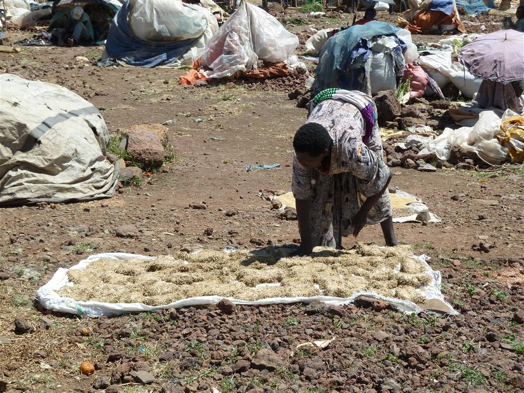 BAHIR DAR -> GONDAR - gewas op een lokale markt