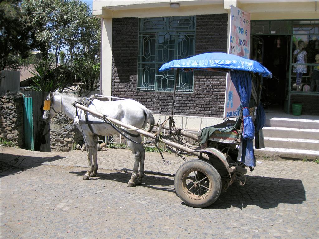 GONDAR - een paard met wagen