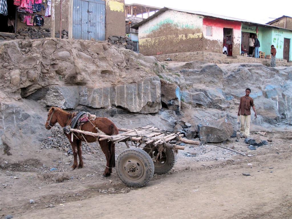 DEBARK - een paard met wagen