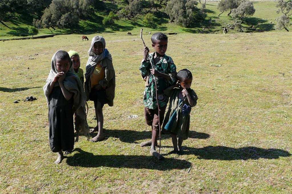 DEBARK (Simien Nationaal Park) - enkele Ethiopische kinderen