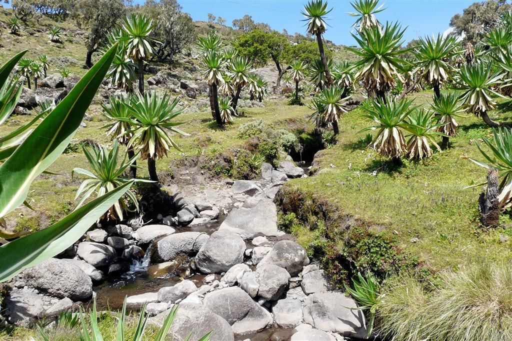 DEBARK (Simien Nationaal Park) - het uitzicht tijdens onze wandeling