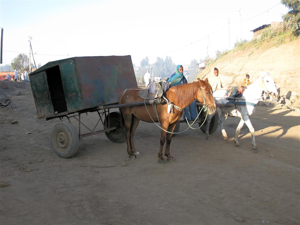 DEBARK - twee paarden met wagens op de hoofdstraat