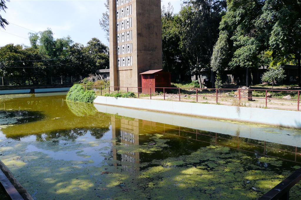 AKSUM - de vijver bij de klokkentoren bij de Saint Mary of Zion kerk