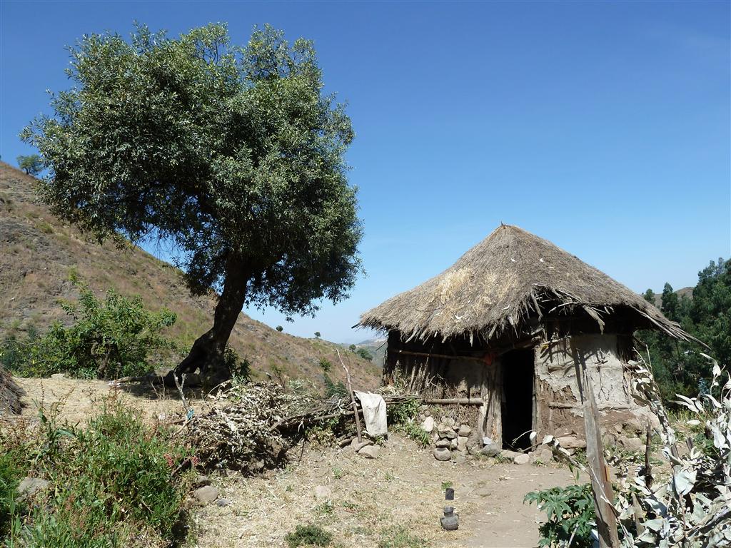 LALIBELA - een hut