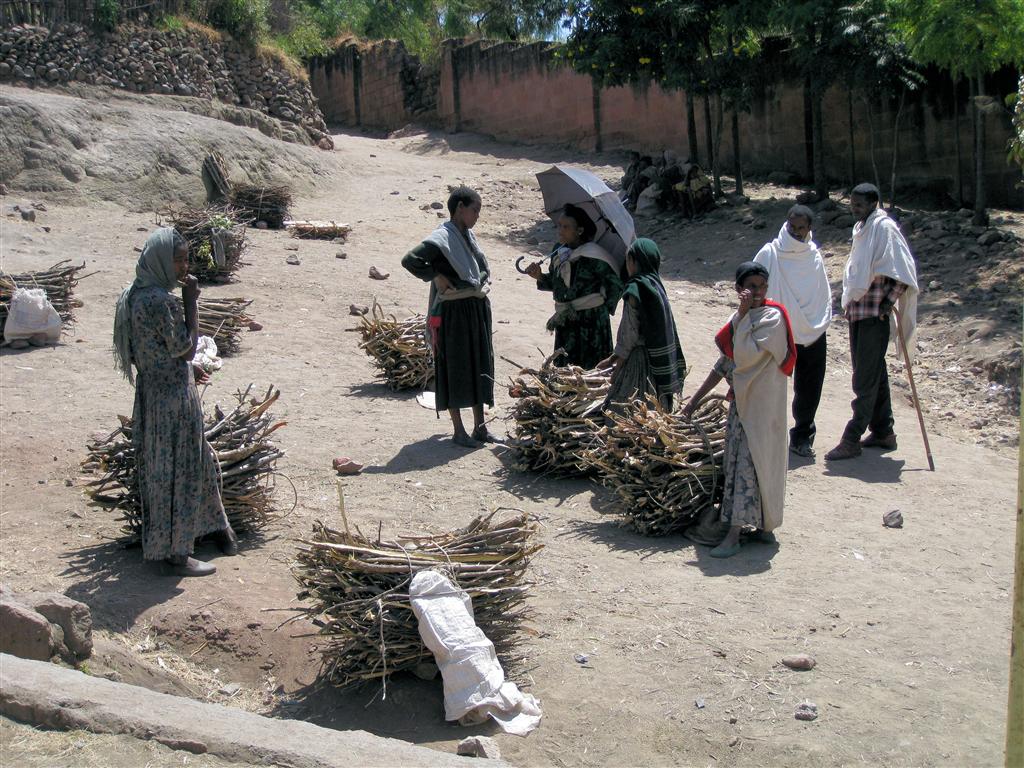 LALIBELA - een verzamelplaats van gesprokkeld hout