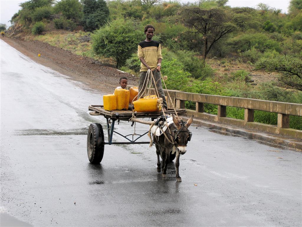 ADDIS ABEBA -> ARBA MINCH - een man en kind met de ezel en wagen
