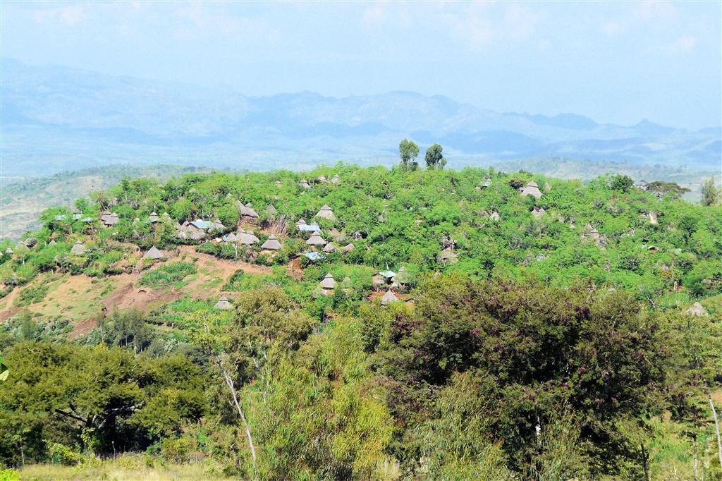 ARBA MINCH -> JINKA - het uitzicht over het dorp van de Konso stam
