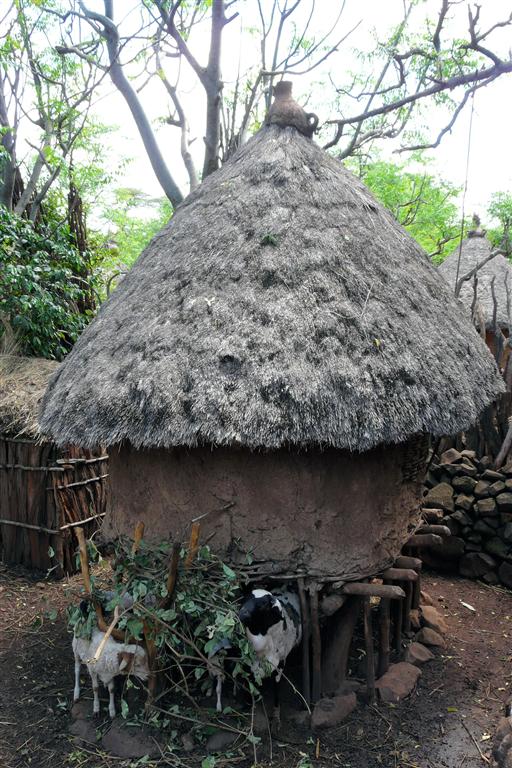 ARBA MINCH -> JINKA - een hut bij de Konso stam die gebruikt wordt voor opslag en tevens dient als geitenhok
