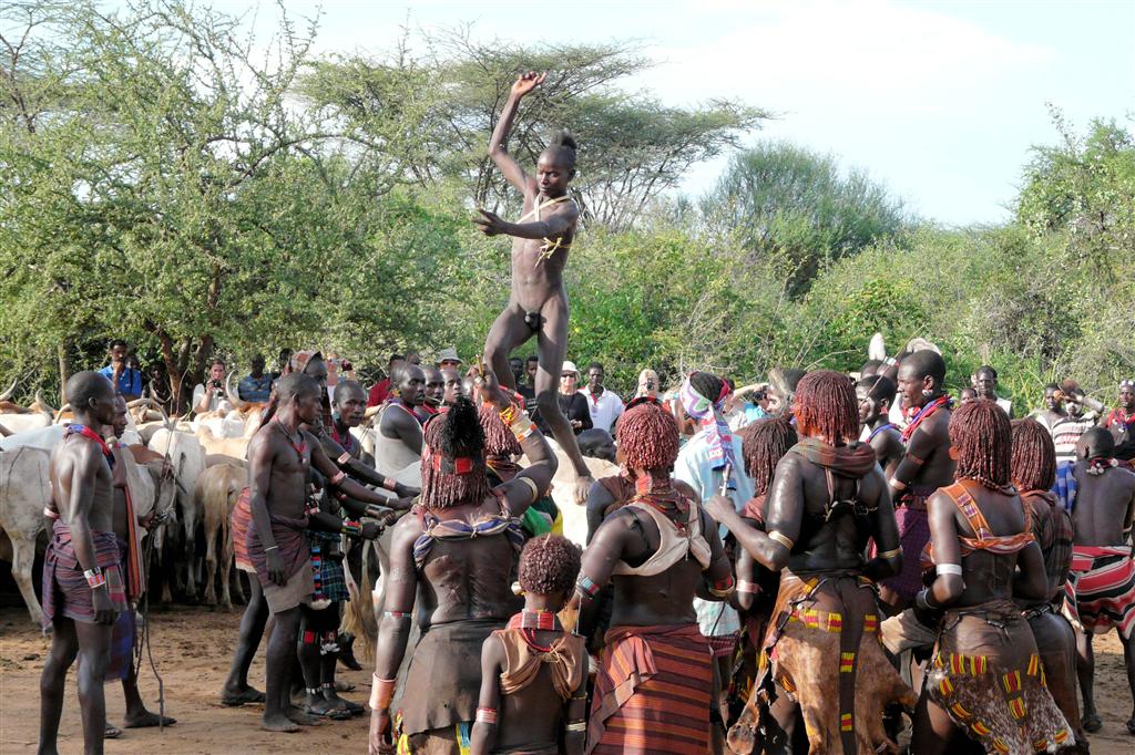 TURMI - de man van de Hamar stam loopt over de koeien (bull jump)