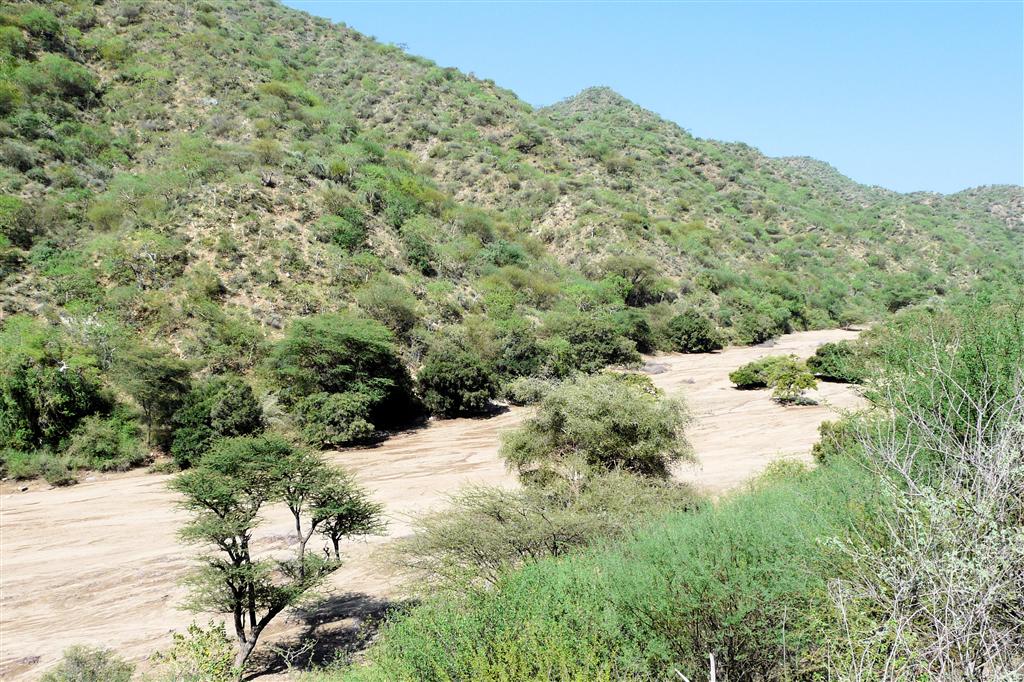 TURMI -> YABELO - uitzicht op een lege rivierbedding