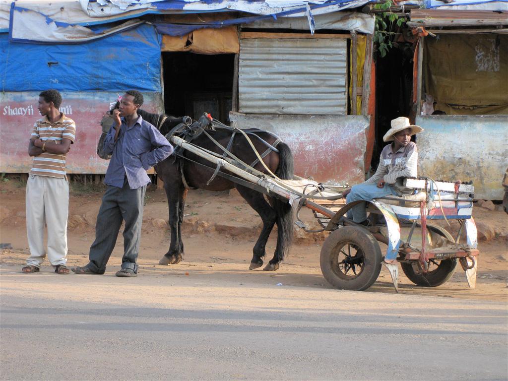 YABELO - een man met paard en wagen