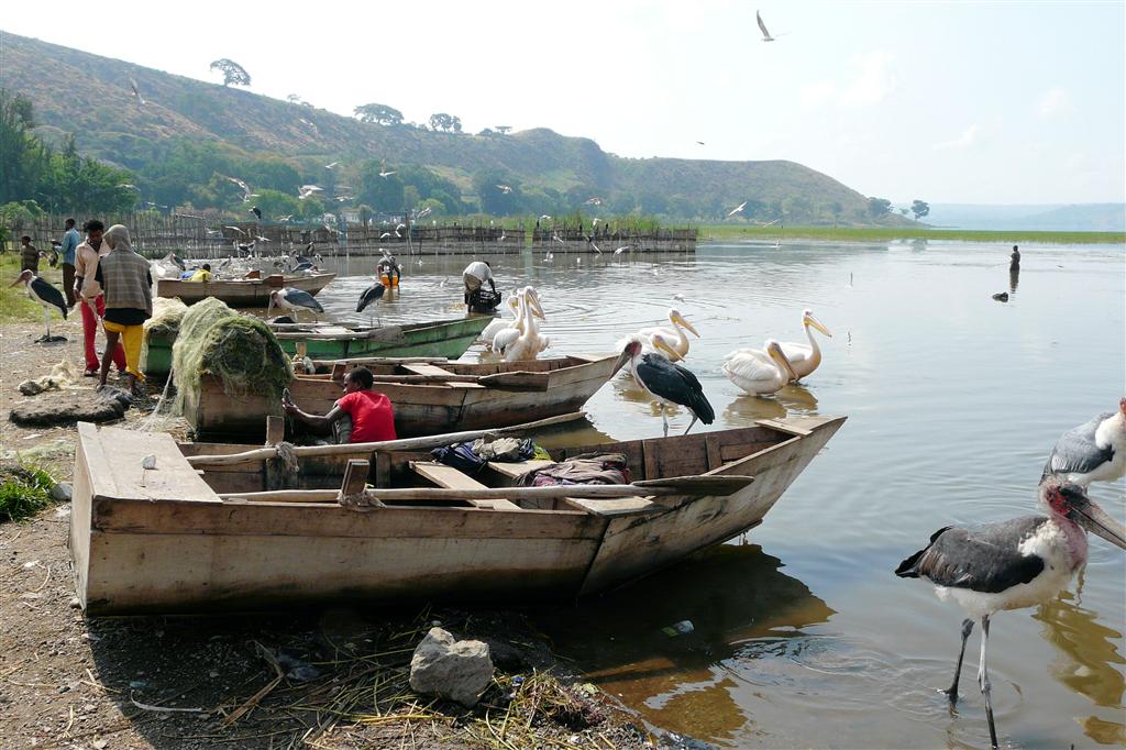 HAWASSA - enkele vissersboten
