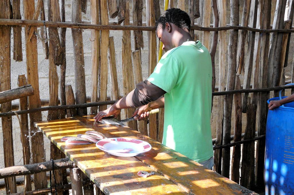 HAWASSA - een man die vis aan het schoonmaken is