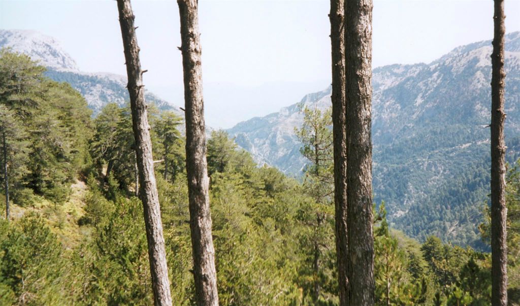 FINIKOUNDAS -> MYSTRAS - het uitzicht onderweg