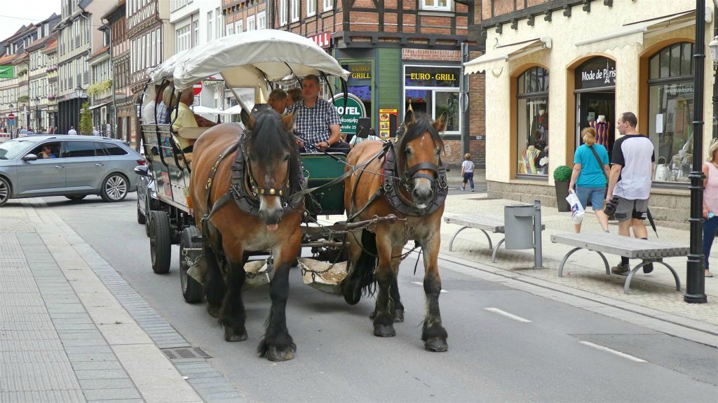 WERNIGERODE - een paard en wagen
