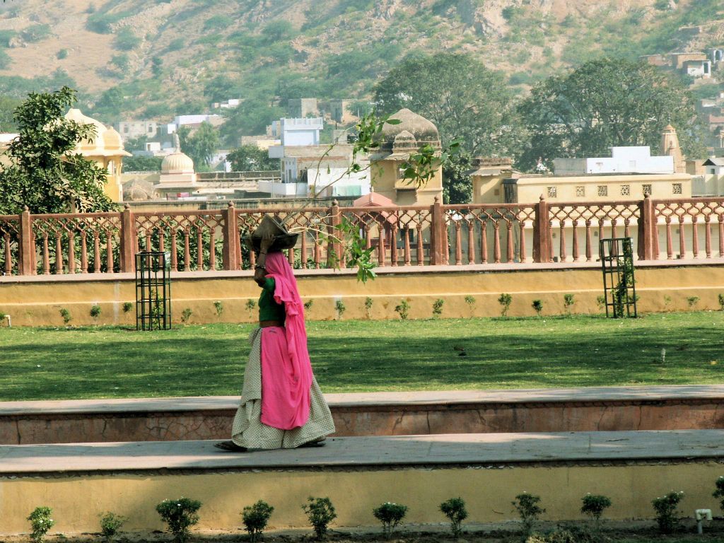INDIA - JAIPUR - een vrouw met jonge boom op haar hoofd bij het Amber Fort