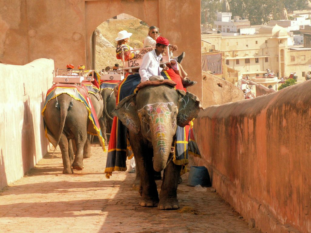 INDIA - JAIPUR - enkele beschilderde olifanten bij het Amber Fort