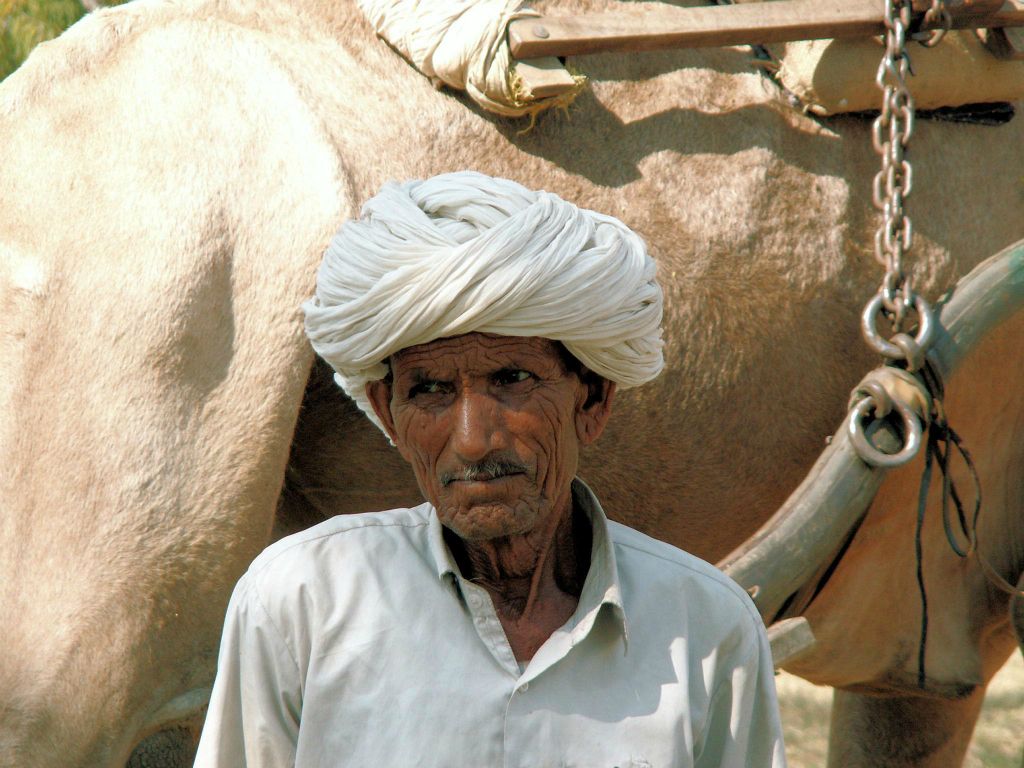 INDIA - JAIPUR - een kamelen begeleider