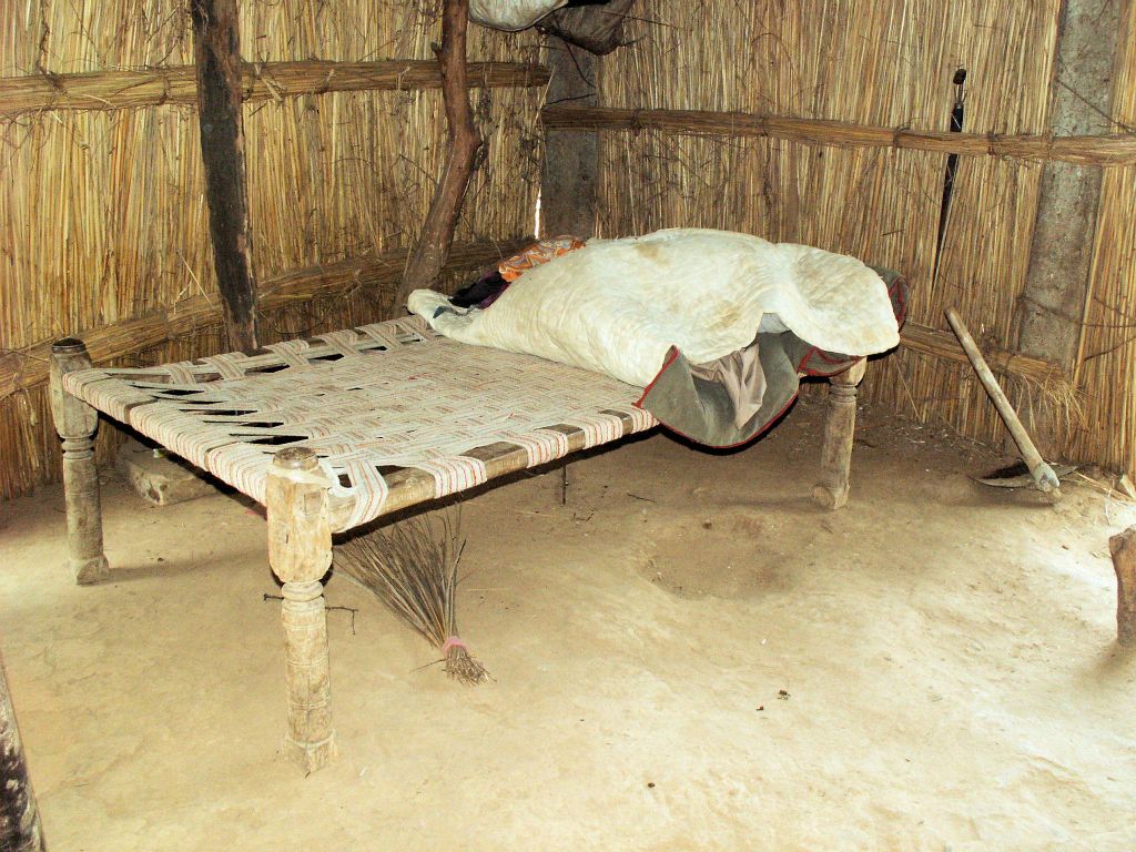 INDIA - JAIPUR - een bed