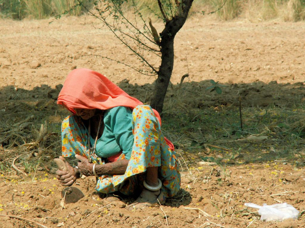 INDIA - JAIPUR - een vrouw die noten aan het zoeken is