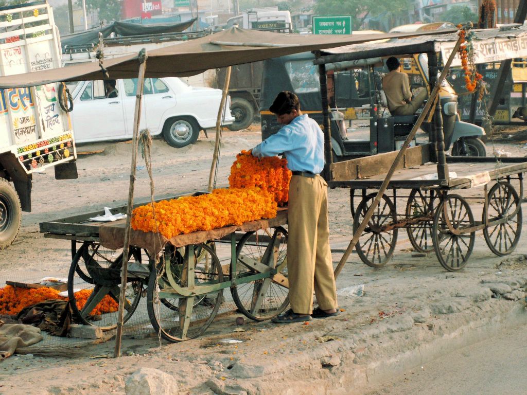 INDIA - JAIPUR -> BHARATPUR - een bloemenkraam