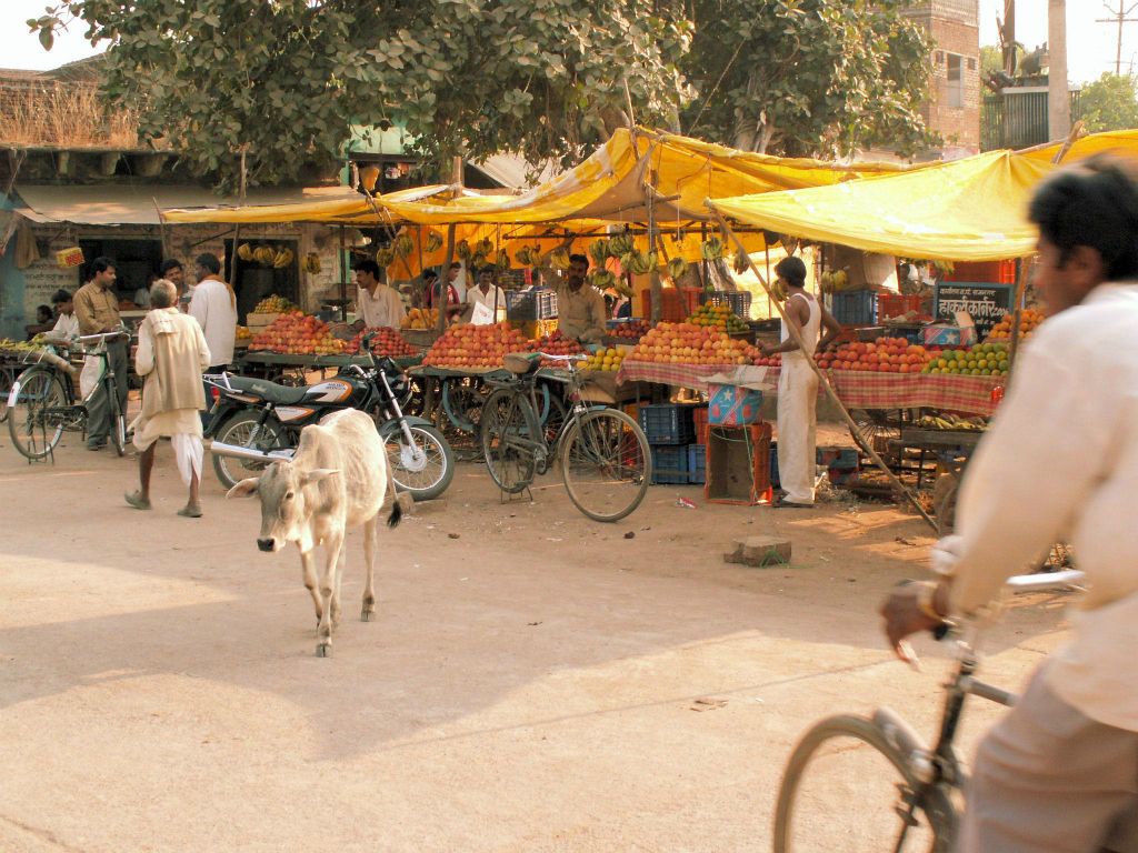 INDIA - KHAJURAHO - een markt