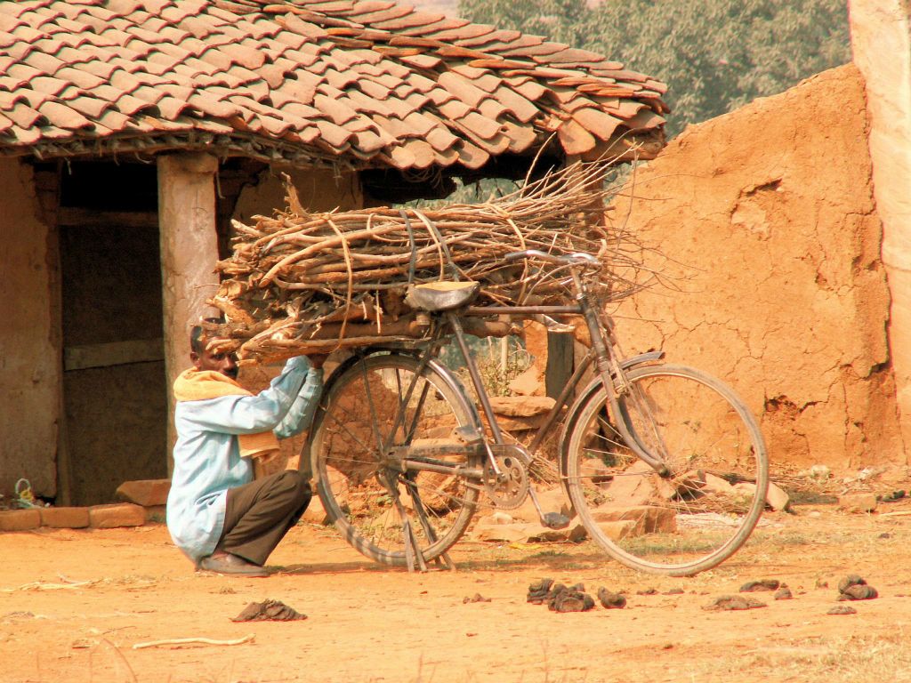 INDIA - KHAJURAHO -> VARANASI - een man is zijn fiets aan het beladen met takken