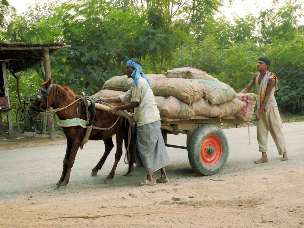INDIA - KHAJURAHO -> VARANASI - een paard en wagen