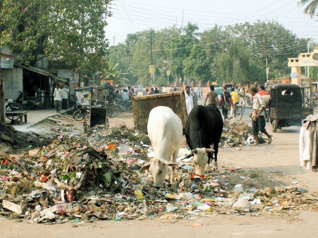 INDIA - VARANASI - het straatbeeld
