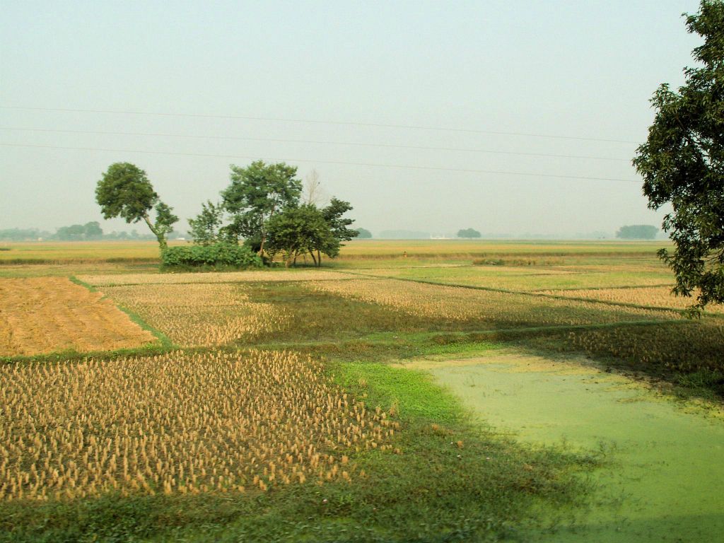 INDIA - SHIVPATINAGAR -> CHITWAN NP - het landschap