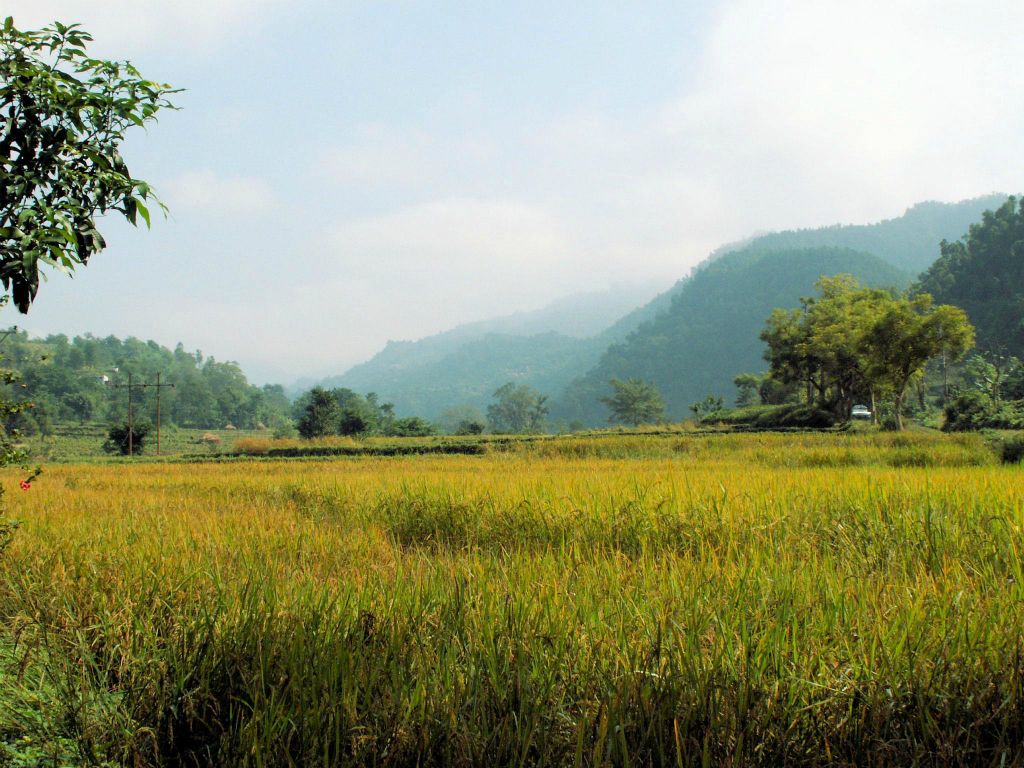 NEPAL - CHITWAN NP -> POKHARA - het landschap bij een lunchstop